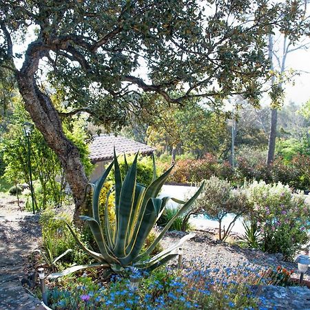 La Garriniere Bed and Breakfast Saint-Raphaël Εξωτερικό φωτογραφία