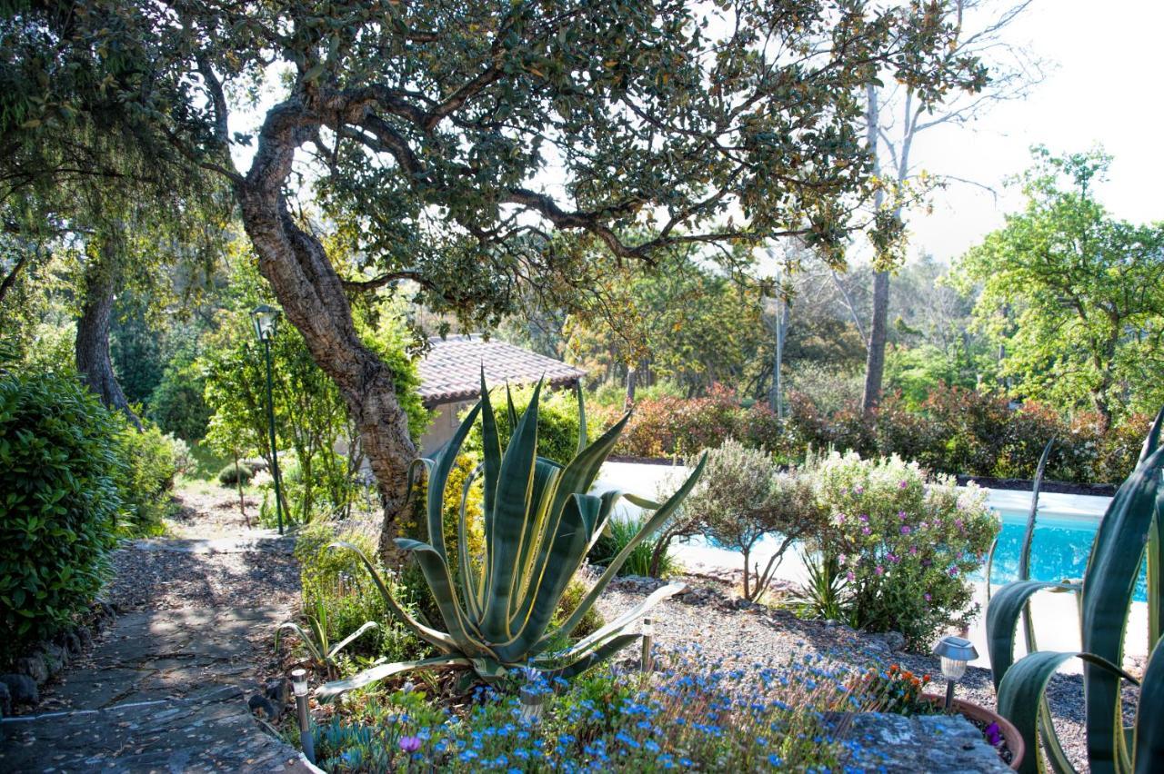 La Garriniere Bed and Breakfast Saint-Raphaël Εξωτερικό φωτογραφία
